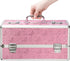 Lockable Large Vibrator Case Pink
