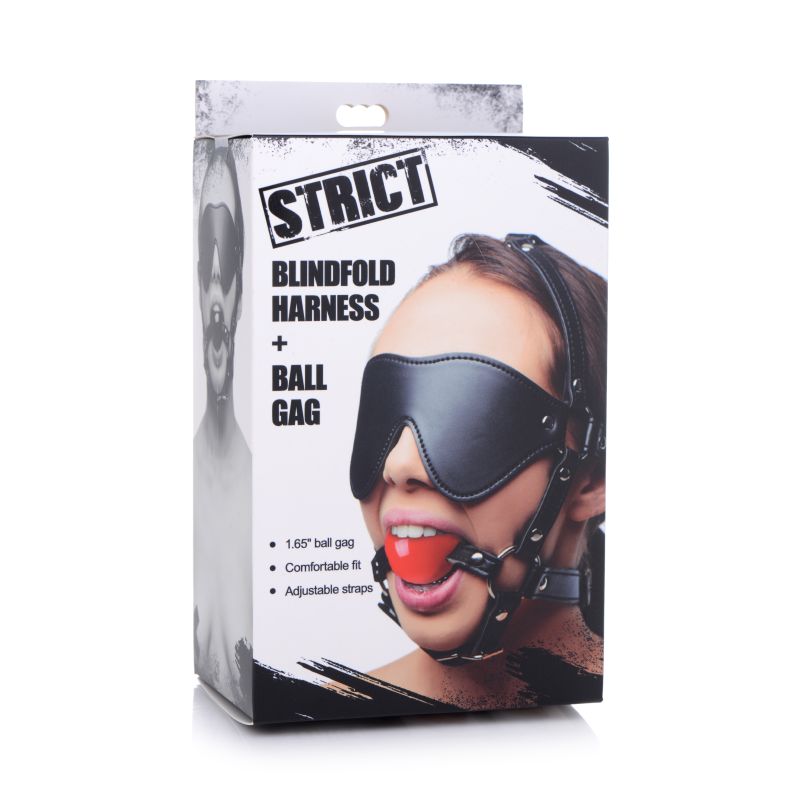 Blindfold Harness w Ball Gag - Black