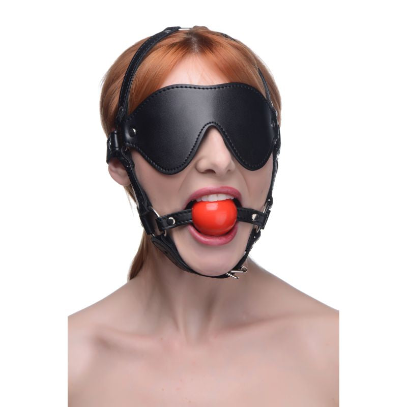 Blindfold Harness w Ball Gag - Black