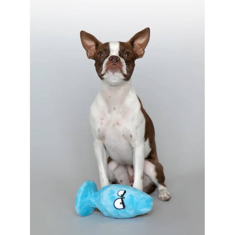 Scruffy Pet Toys McRuff Butt Plug - Blue