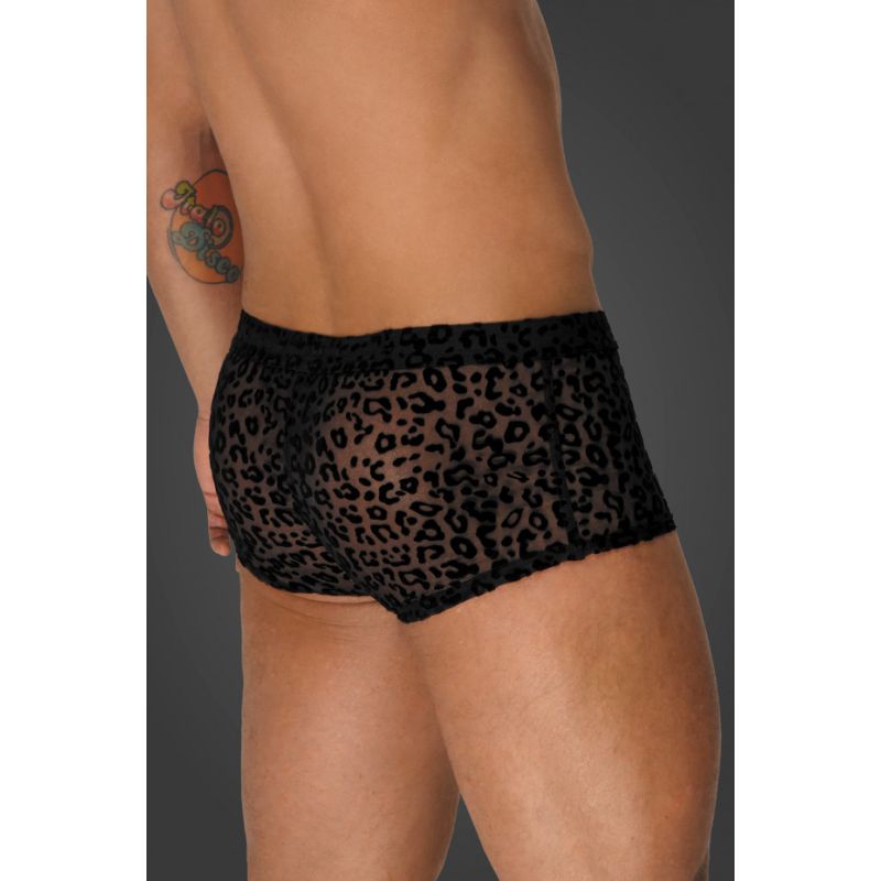 Leopard Flock Short Shorts - Black