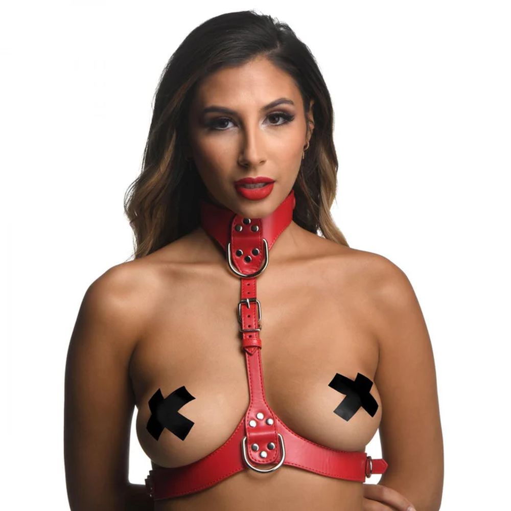 Red Female Chest Harness S/M